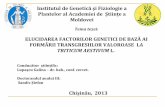 ELUCIDAREA FACTORILOR GENETICI DE BAZĂ AI FORMĂRII TRANSGRESIILOR VALOROASE  LA TRITICUM AESTIVUM L.