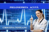 Cristina Toteanu Pielonefrita acuta
