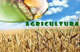 Agricultura mondială