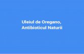 Uleiul de Oregano - Antibioticul Naturii