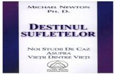 Michael newton   destinul sufletelor