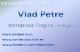WordPress Plungins and Widgets