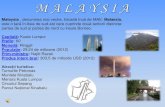 Malaysia (nx power lite)