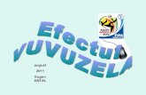 Efectul Vuvuzela