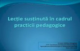 Lectie sustinuta-in-cadrul-practicii-pedagogice