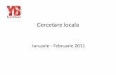 Raport cercetare locala_2011