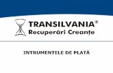 Transilvania recuperari creante instrumentele de plata