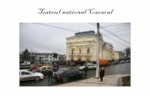 Teatrul national caracal