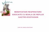 Manifestari respiratorii brge (2)