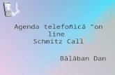 Schmitz Call