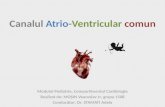 Cardiologie pediatrică: canalul atrio-ventricular comun