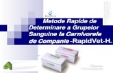 Determinarea Grupelor Sanguine la Animale de Companie Rapid vet H