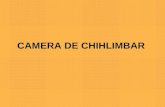 Arta+ +Camera+De+Chihlimbar+ +
