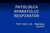 250107356 patologia-respiratorie