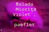 Balada Miorita Violet   Pamflet