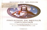 Nicolae mladin   prelegeri de mistica ortodoxa