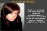 Mirela Presentation