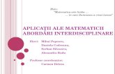 Aplicatii ale matematicii abordari interdisciplinare