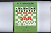 Vladimir Salceanu - Curs Progresiv de SAH.pdf