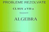 Probl Rezo Lv at Evii Algebra Semi i