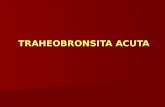 1.Traheobronsita Acutappt (1)