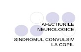 Curs 10 Af. Neurologice