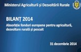 Absorbtie Fonduri Europene Pentru Agricultura, Dezvoltare Rurala Si Pescuit