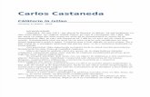 Carlos Castaneda-V3 Calatorie La Ixlan 10