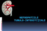 Nefropatiile Tubulo- Interstitiale