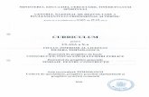 Curriculum - X - finisaje pentru constructii.pdf