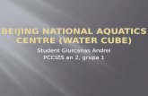 Prezentare 3 - Beijing National Aquatics Centre - Giurcanas Andrei