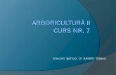 CURS 7 Arbori II pp