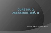 CURS 2 Arbori II pp