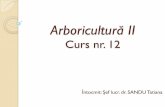 CURS 12 Arbori II Pp