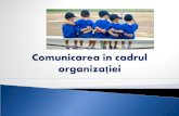 curscomunicare organizationala