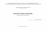 Sociologie: ghid de studii