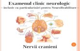 NERV CRAN. I+II anatomie