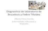 10- Brucelosis y Tifoidea en el Laboratorio.pdf