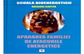 4 Grigori Kapita - Apararea familiei de atacurile energetice.pdf