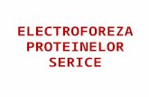1. Electroforeza Proteinelor Serice