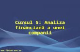 Cursul 5_Analiza Financiara