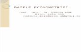 bazele econometriei - C1