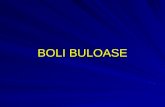 Curs 4 - BoliBuloase1-Rezumat