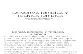NORMA JURIDICA Y TECNICA JURIDICA.ppt