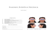 Model Examen Estetica
