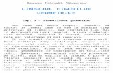 218. Omraam Mikhaël Aïvanhov - Limbajul Figurilor Geometrice (A5)