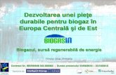 (441377995) 1 Biogazul Sursa Regenerabila