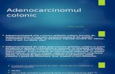 Adenocarcinomul colonic-Popa Andrei gr139.ppt