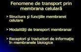 Transport prin membrana celulara