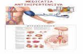 Medicatia antihipertensiva dr. Pelin.ppt